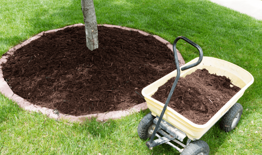 MULCHING